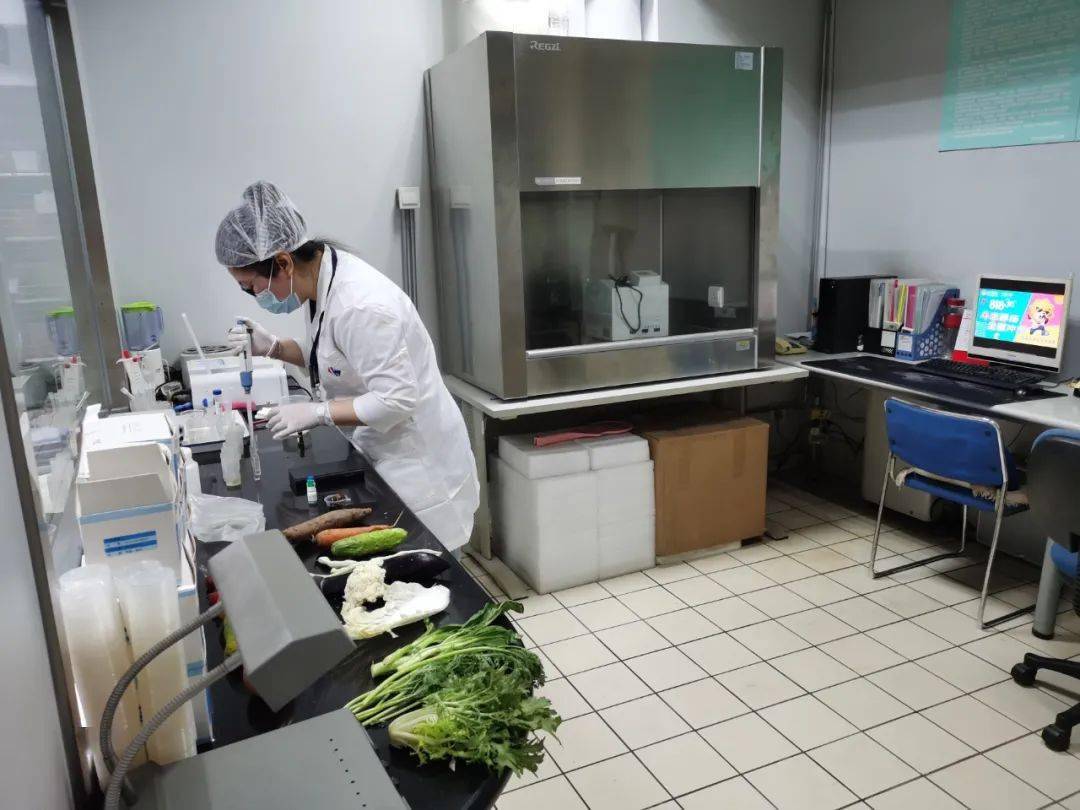新安食品检测实验室装修方案